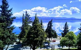 Departamento Vista Huapi